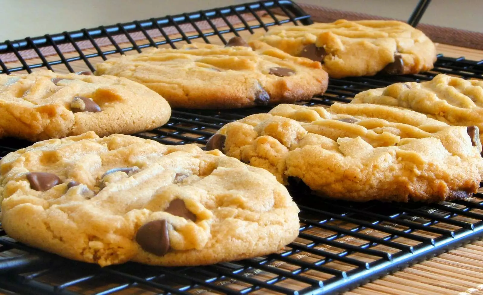 Peanut Butter Chocolate Chip Cookies