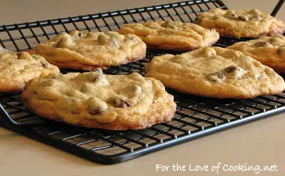 Chocolate Chip Ice Cream Sandwich