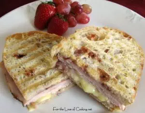 Turkey, Brie and Cranberry Chutney Panini