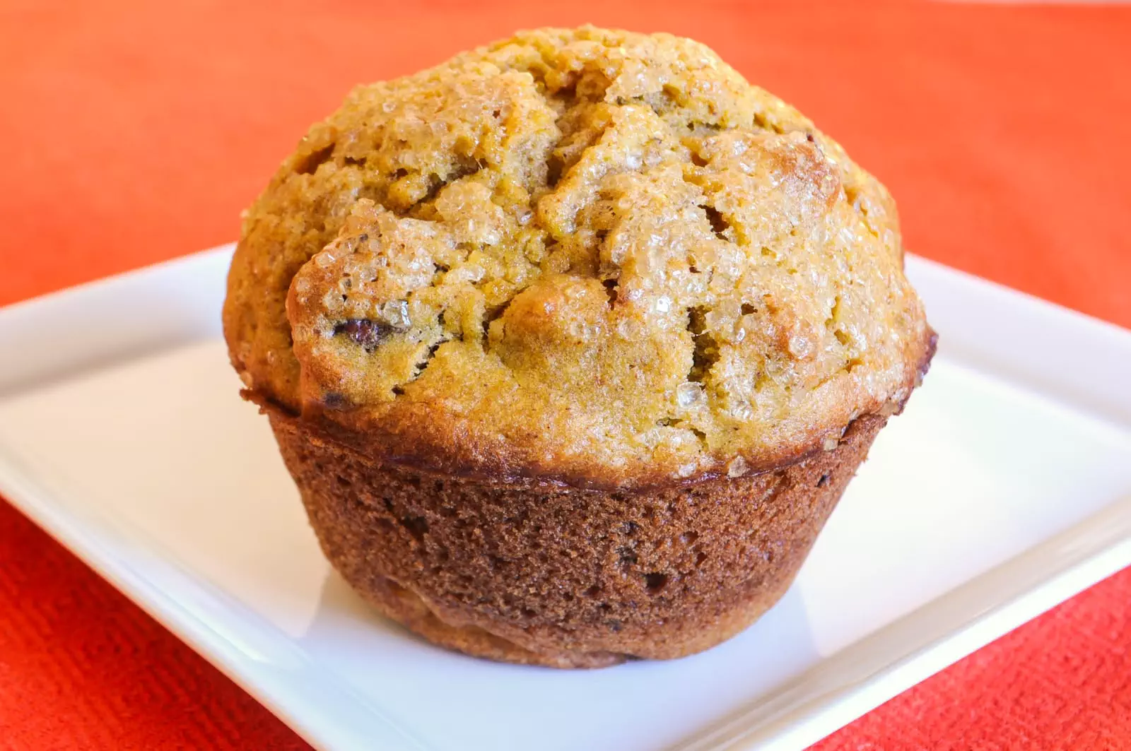 Pumpkin, Cranberry, and Pecan Muffins