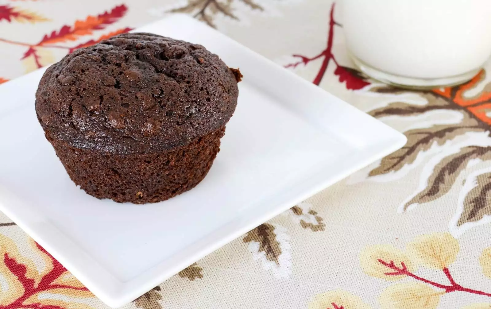 Double Chocolate Zucchini Muffins