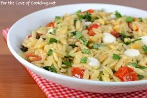 Orzo with Sautéed Garlicky Spinach and Tomatoes topped with Mozzarella and Toasted Pine Nuts