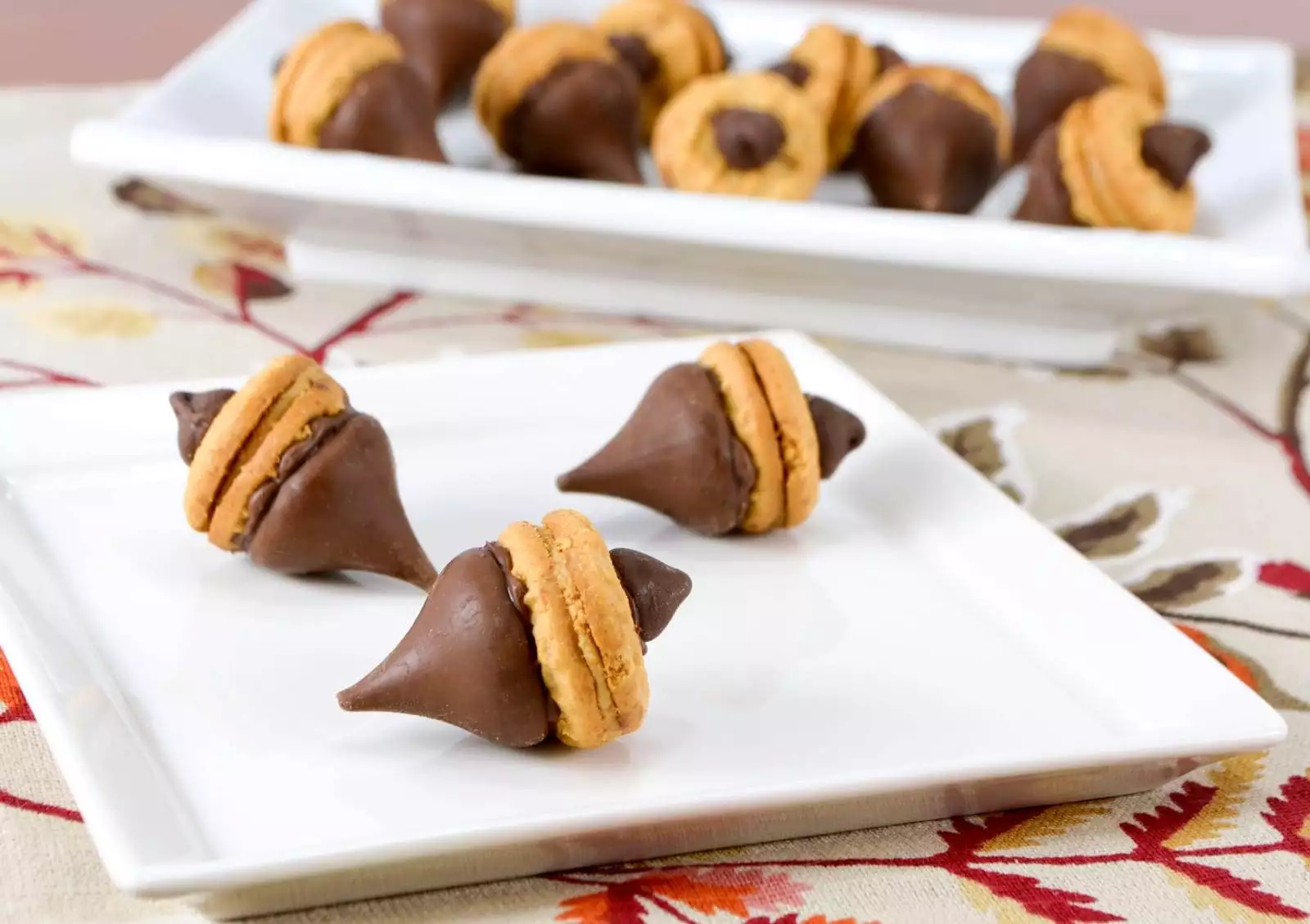 Acorn Chocolate Peanut Butter Treats