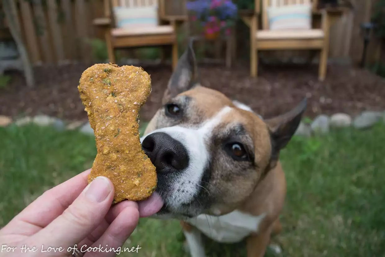 Spinach, Zucchini, and Carrot Dog Treats