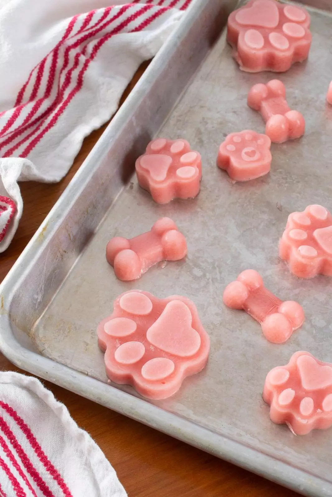 Frozen Watermelon Dog Treats