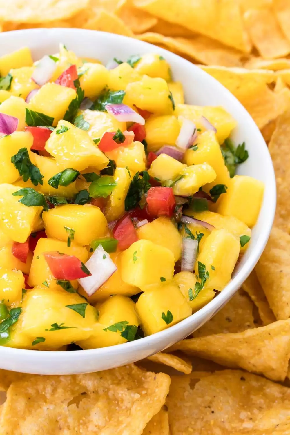 Fresh Mango Salsa