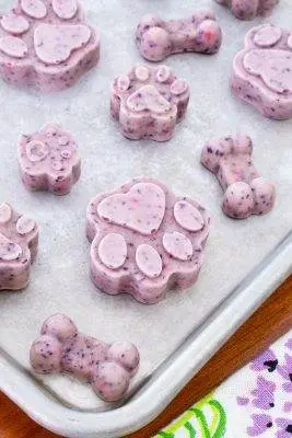 Frozen Berry-Banana Dog Treats