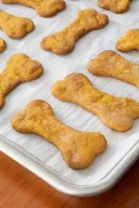 Pumpkin Peanut Butter Dog Treats