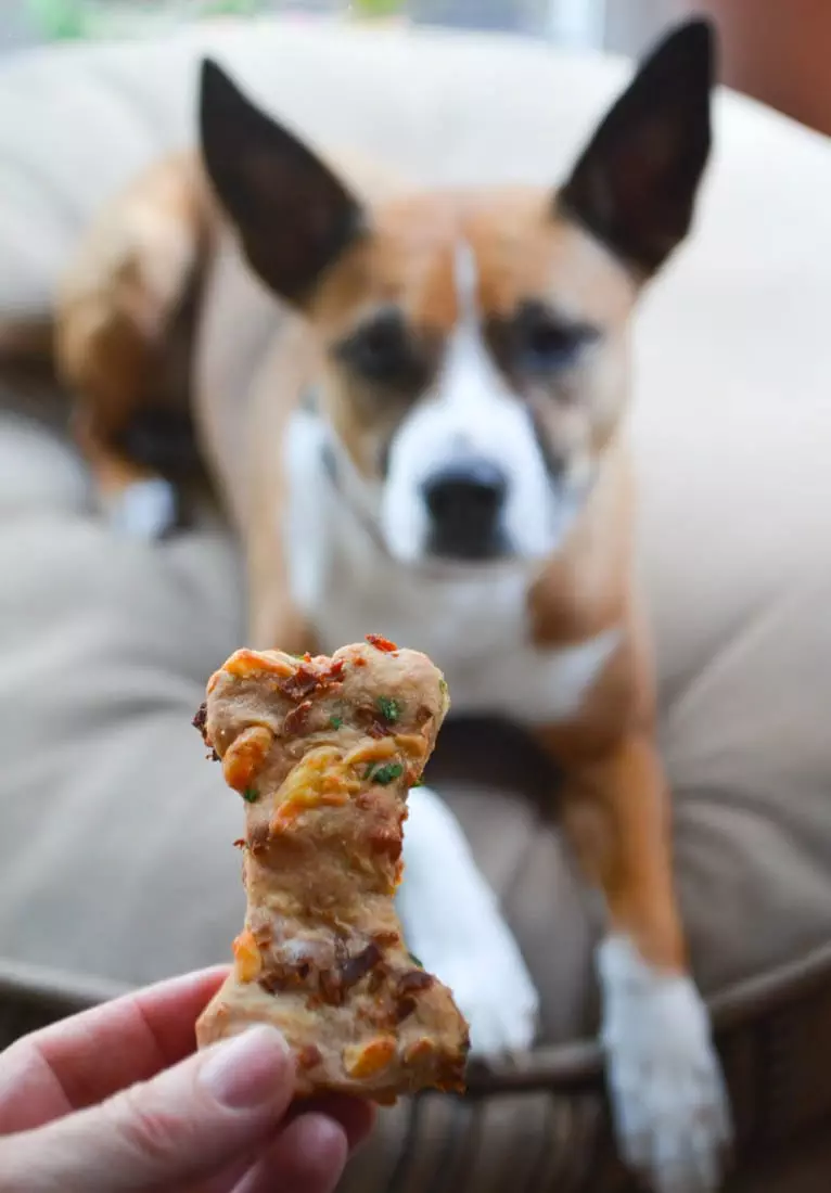 Our Best Homemade Dog Treats