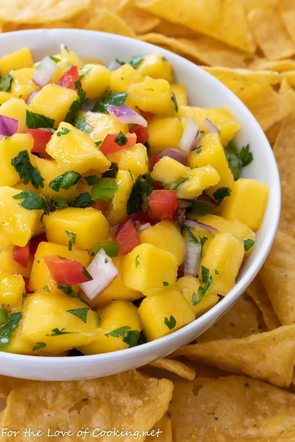 Fresh Mango Salsa