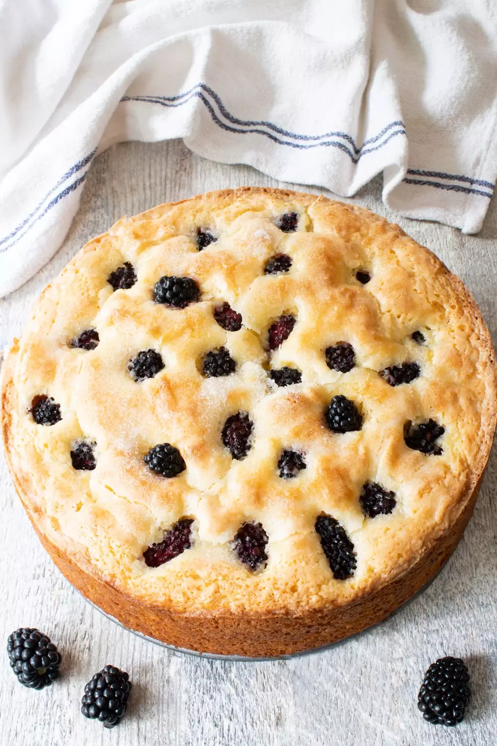 Blackberry Lemon Breakfast Cake