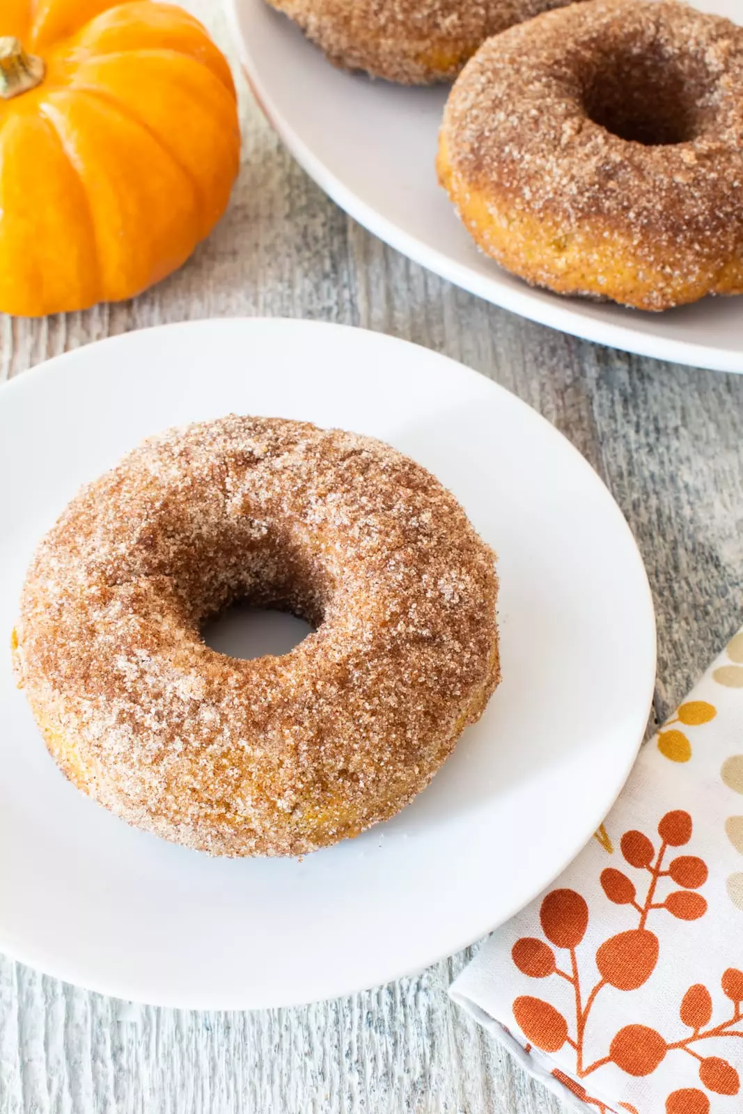 Cinnamon Sugar Pumpkin Donuts