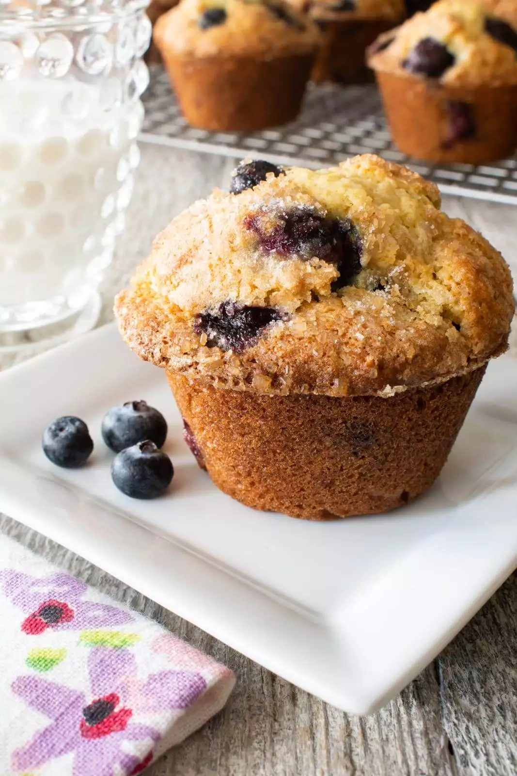 Blueberry Muffins