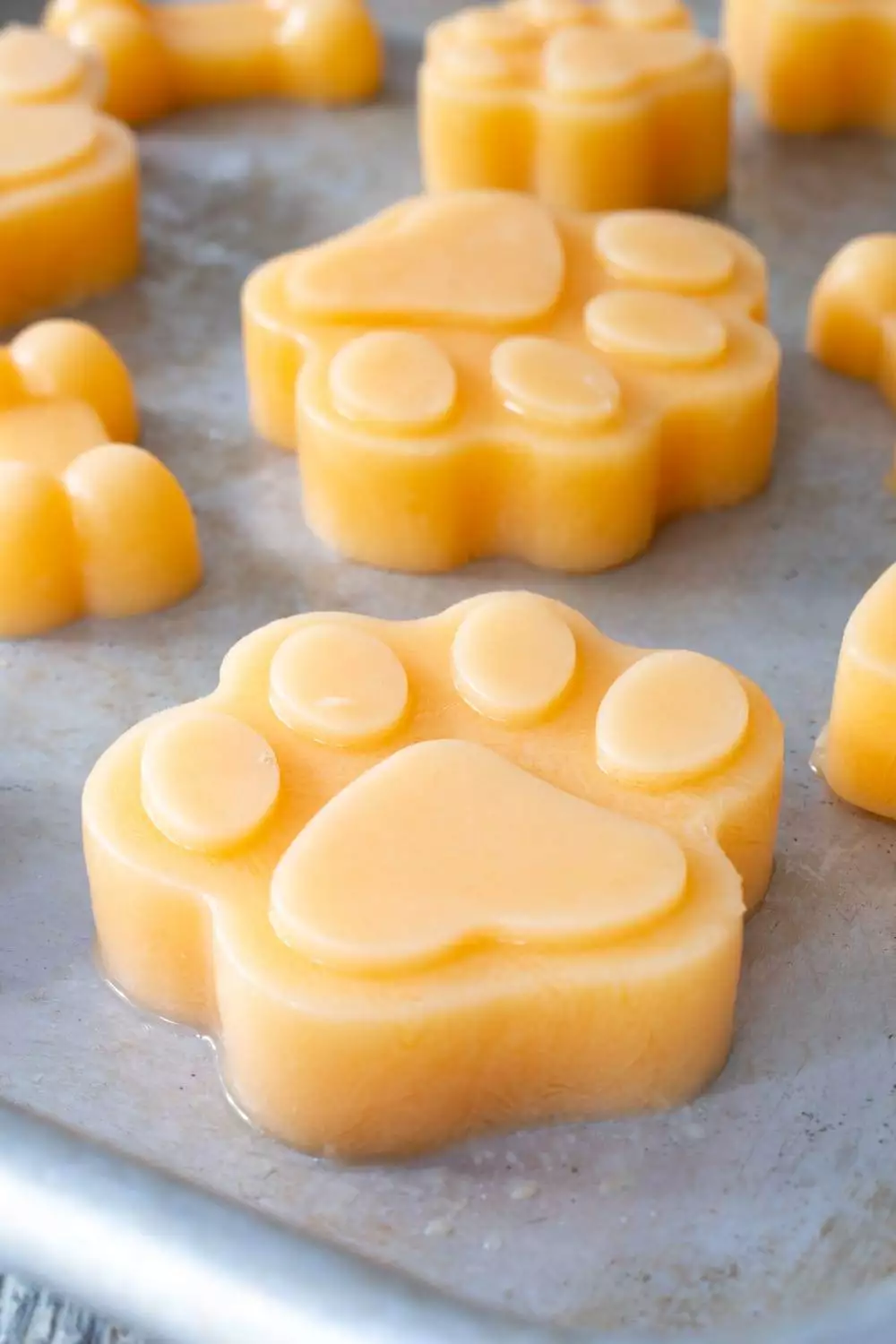 Frozen Cantaloupe Dog Treats