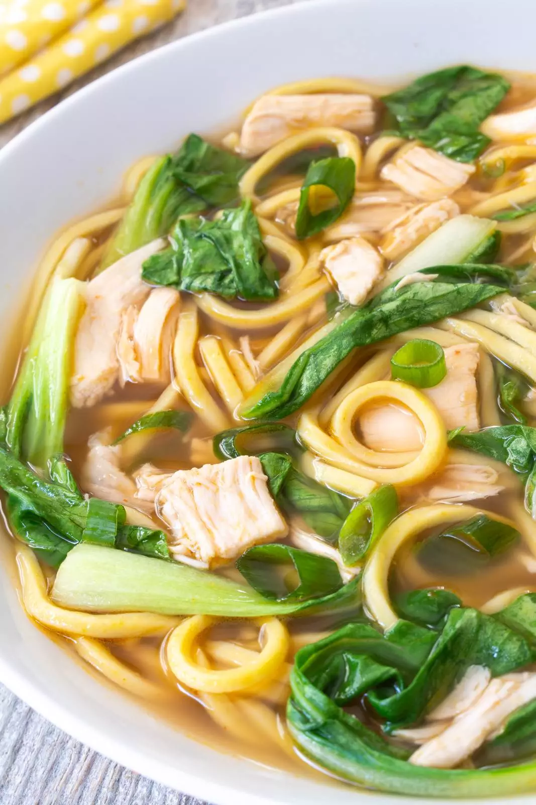 Chinese Noodle Soup | For the Love of Cooking Chinese Noodle Soup