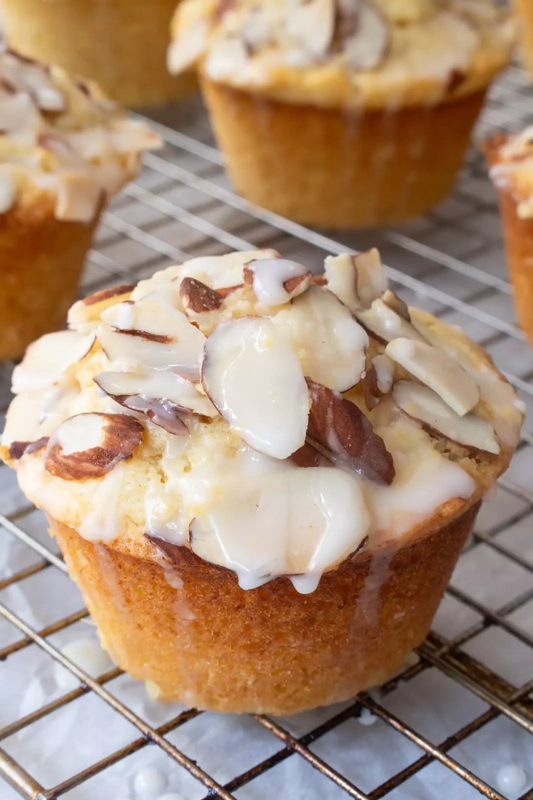 Lemon Ricotta Muffins