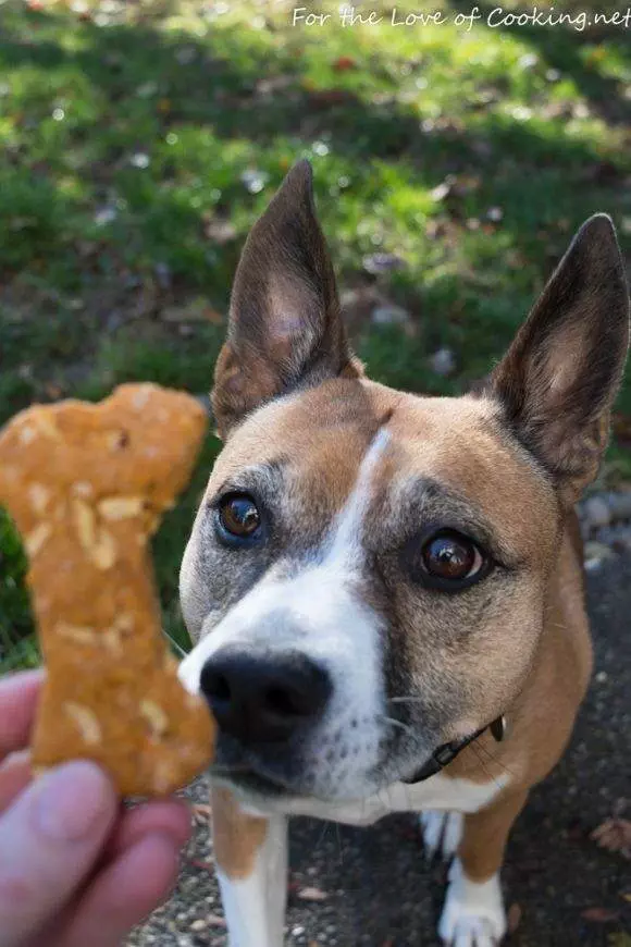 Sweet Potato and Apple Dog Treats